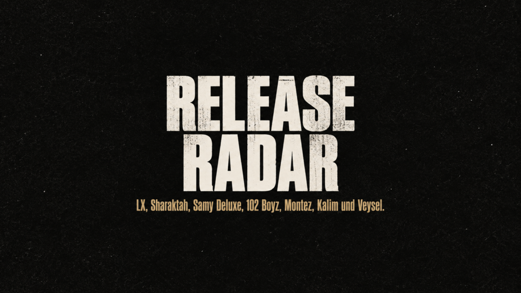 LX, Sharaktah, Samy Deluxe, 102 Boyz, Montez, Kalim und Veysel